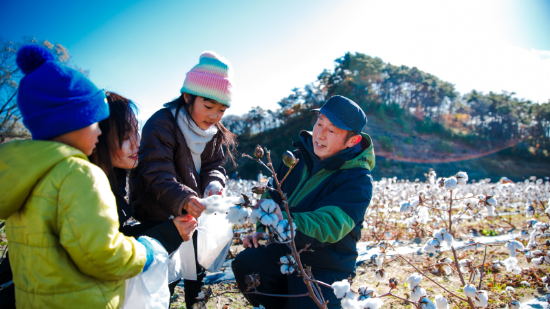 写真の説明が入ります